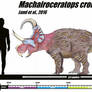 Machairoceratops cronusi
