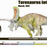 Torosaurus latus