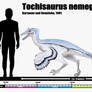 Tochisaurus nemegtensis