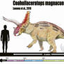 Coahuilaceratops magnacuerna