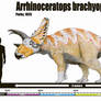 Arrhinoceratops brachyops