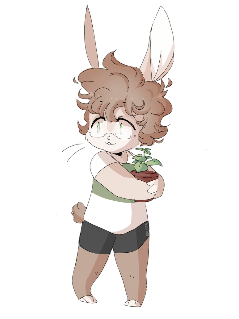 bob baby by echoow