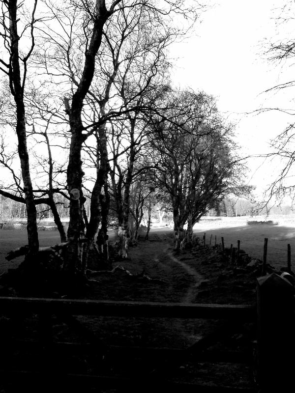 Path Less Trod by phil-death on DeviantArt