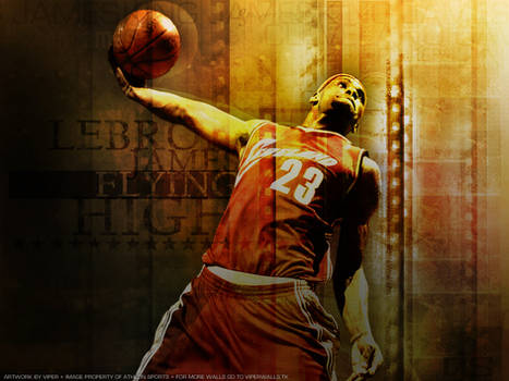 Lebron James 'Flying High'