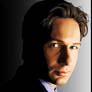 Mulder