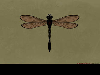 WP002a - dragonfly redux