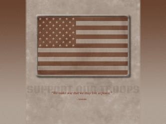 US FLAG - desert - WP