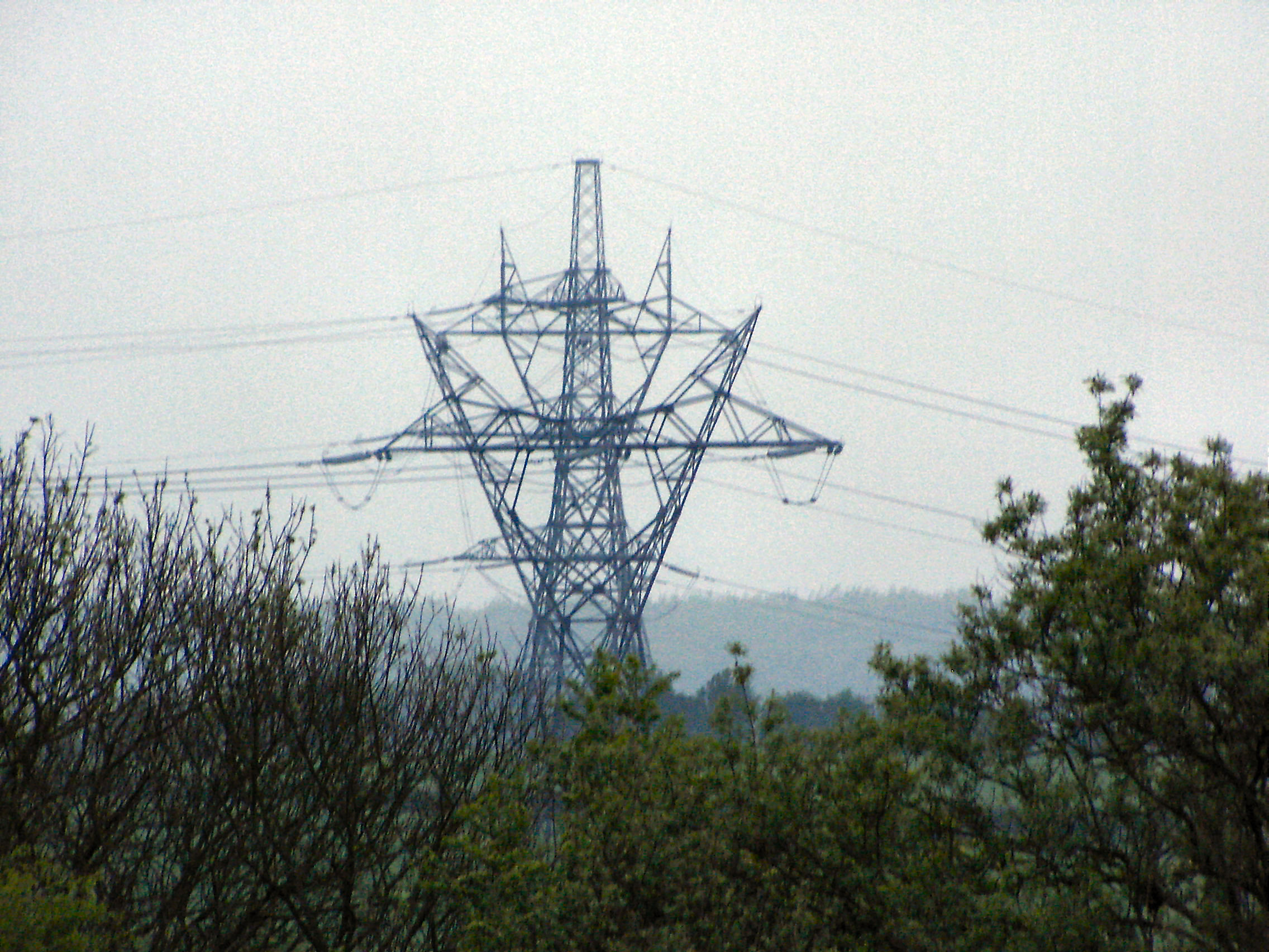 Three Power Lines