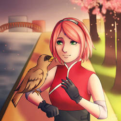 Sakura and Hawk