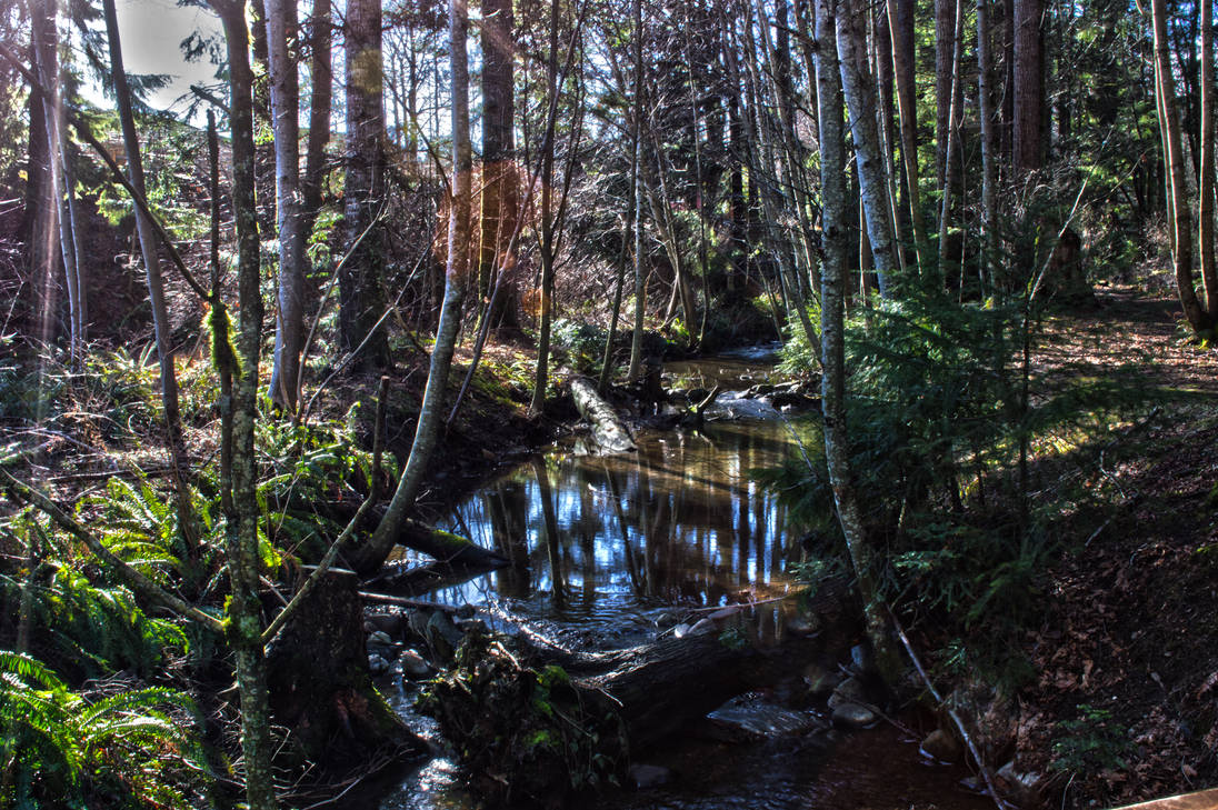 messy forest by godlike on DeviantArt