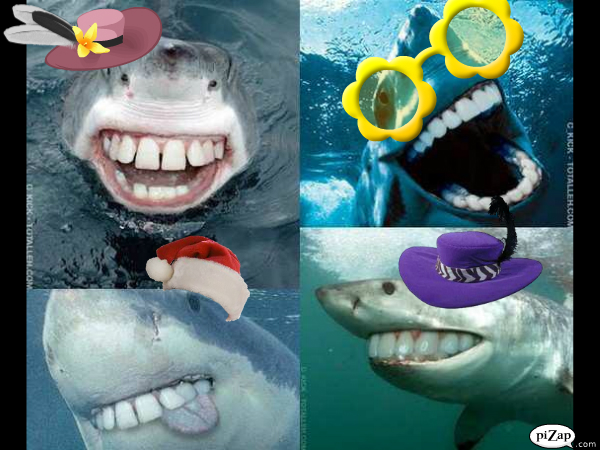 SHARKS WITH HAT'S AND GLASSES