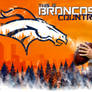Denver Broncos Peyton Manning Broncos Country Wall