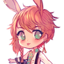 Antelope Jackrabbit