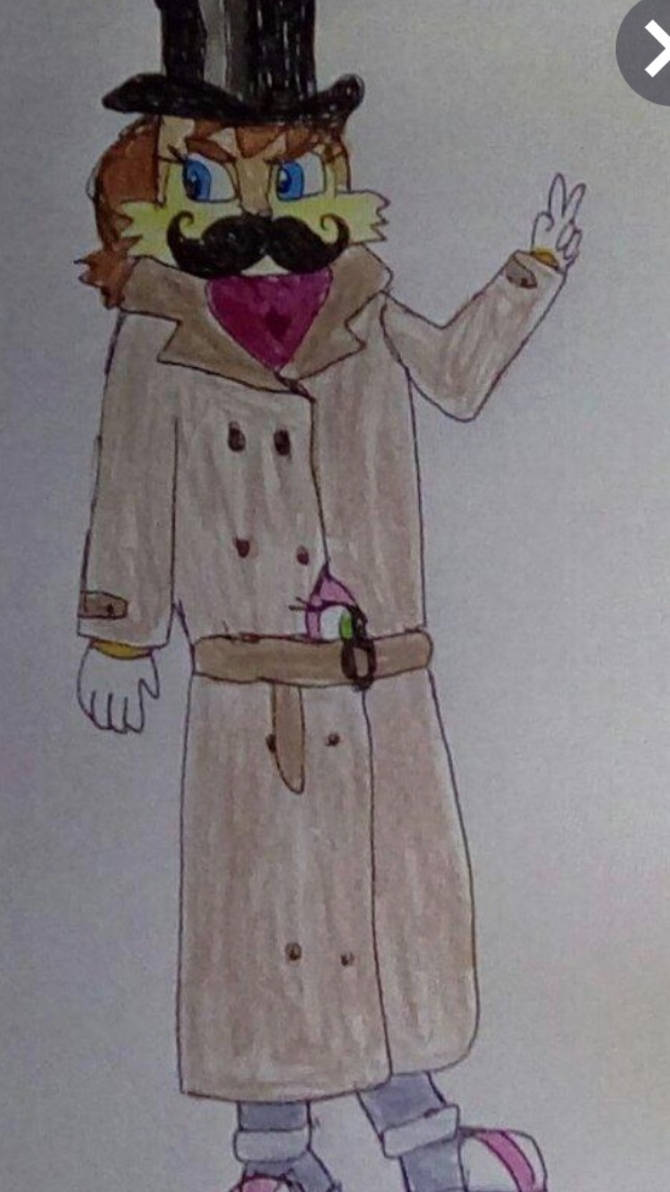 Stackercoat Sonic The Hedgehog by TheWalrusWasPaul11 on DeviantArt