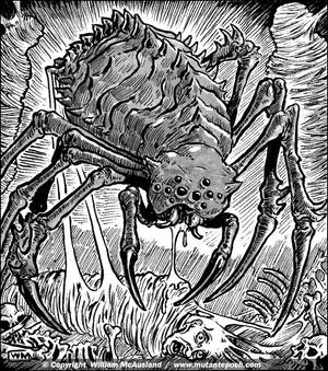 Devil Spider