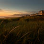 Beach Front Paradise