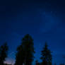 Perseids Shower