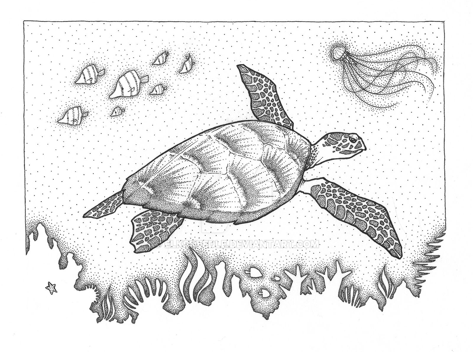Sea Turtle by elksneedle on DeviantArt