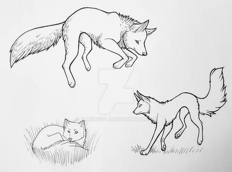 some fox doodles