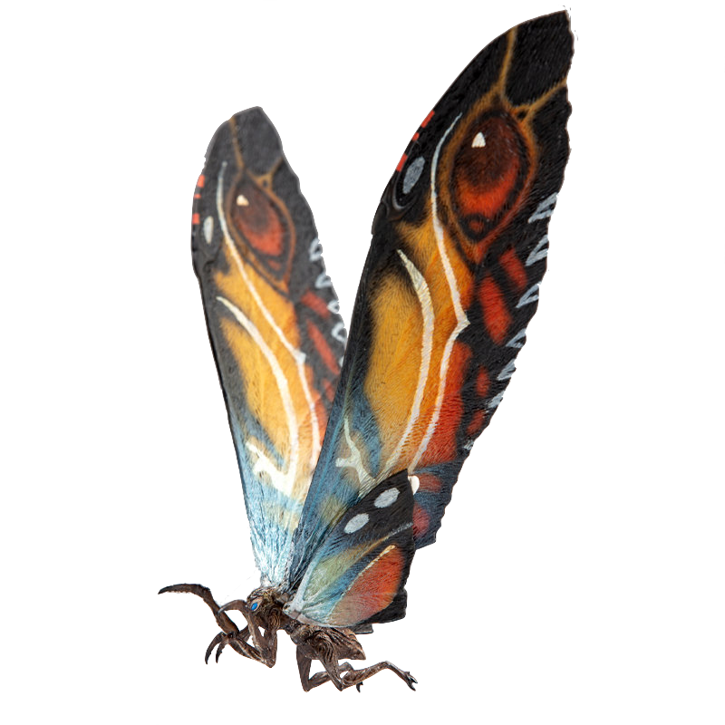 Mothra 2019 Transparent 8 by SP-Goji-Fan on DeviantArt
