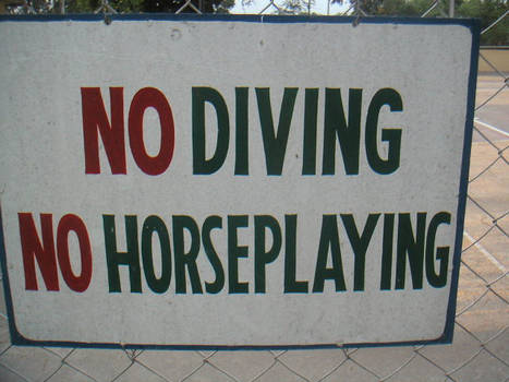 No Diving No Horseplay by ws