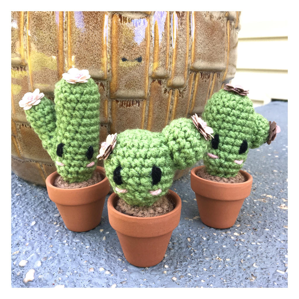 Tiny Cactus'