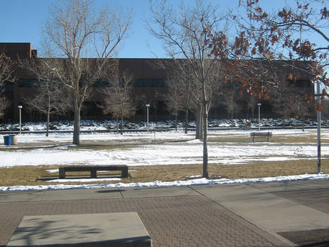 Auraria Campus 01