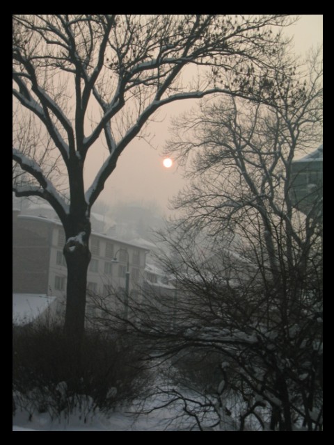 COLD sun