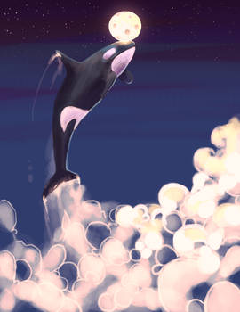 Orca