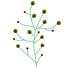 Floral Branch Clipart