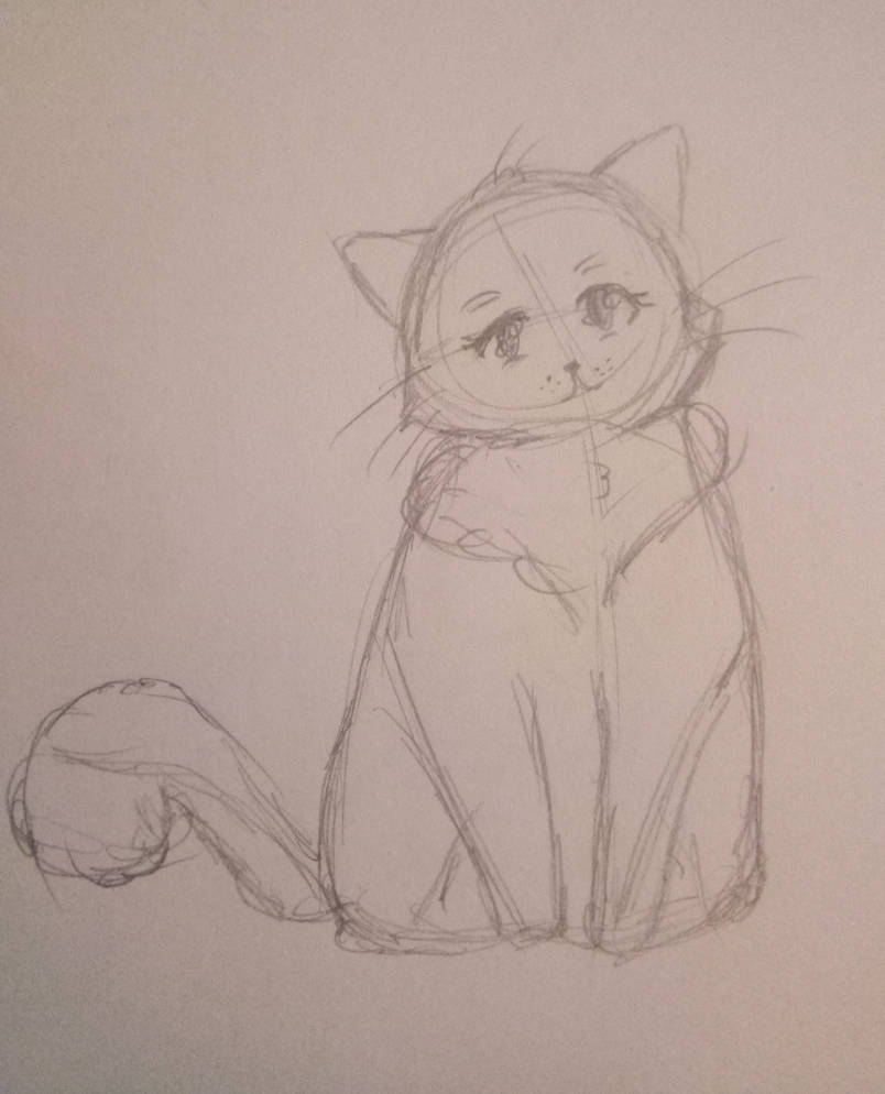 Cat Tutorial Sketch By Pinkiepieparker05 On Deviantart Cat Tutorial Sketch By Pinkiepieparker05 On Deviantart