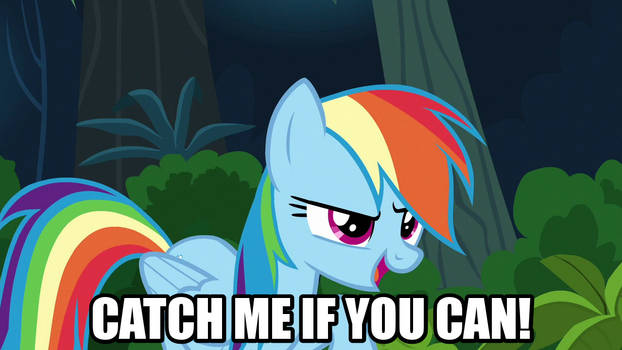 Rainbow Dash - Catch me if you can!