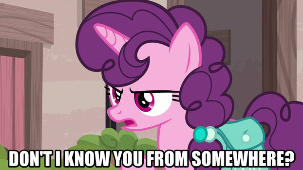 Doesn't Sugar Belle know you from somewhere?
