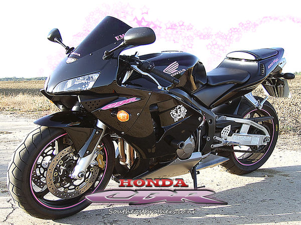 Cbr Rabbit Rr cbr rr wallpaper by Kawak-Rider on DeviantArt