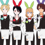 Bunny Waiters