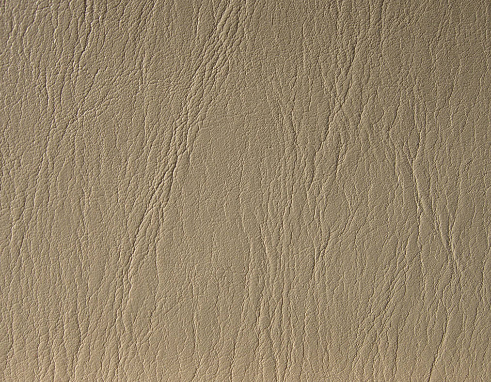 117 - leather by WCat-stock