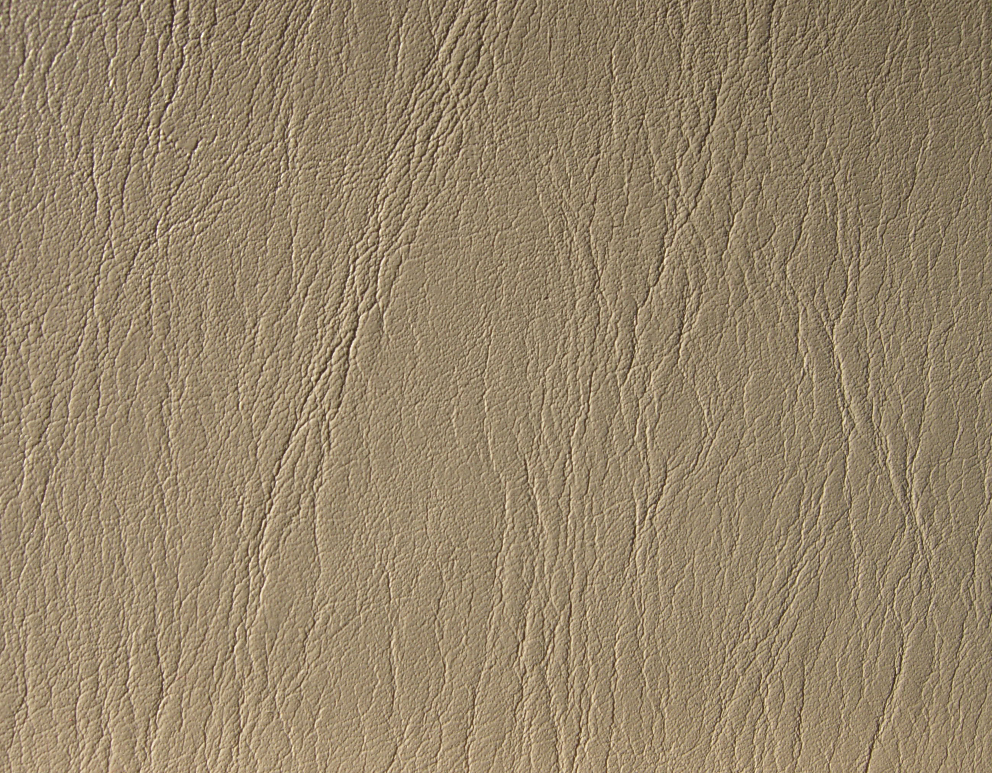 117 - leather by WCat-stock