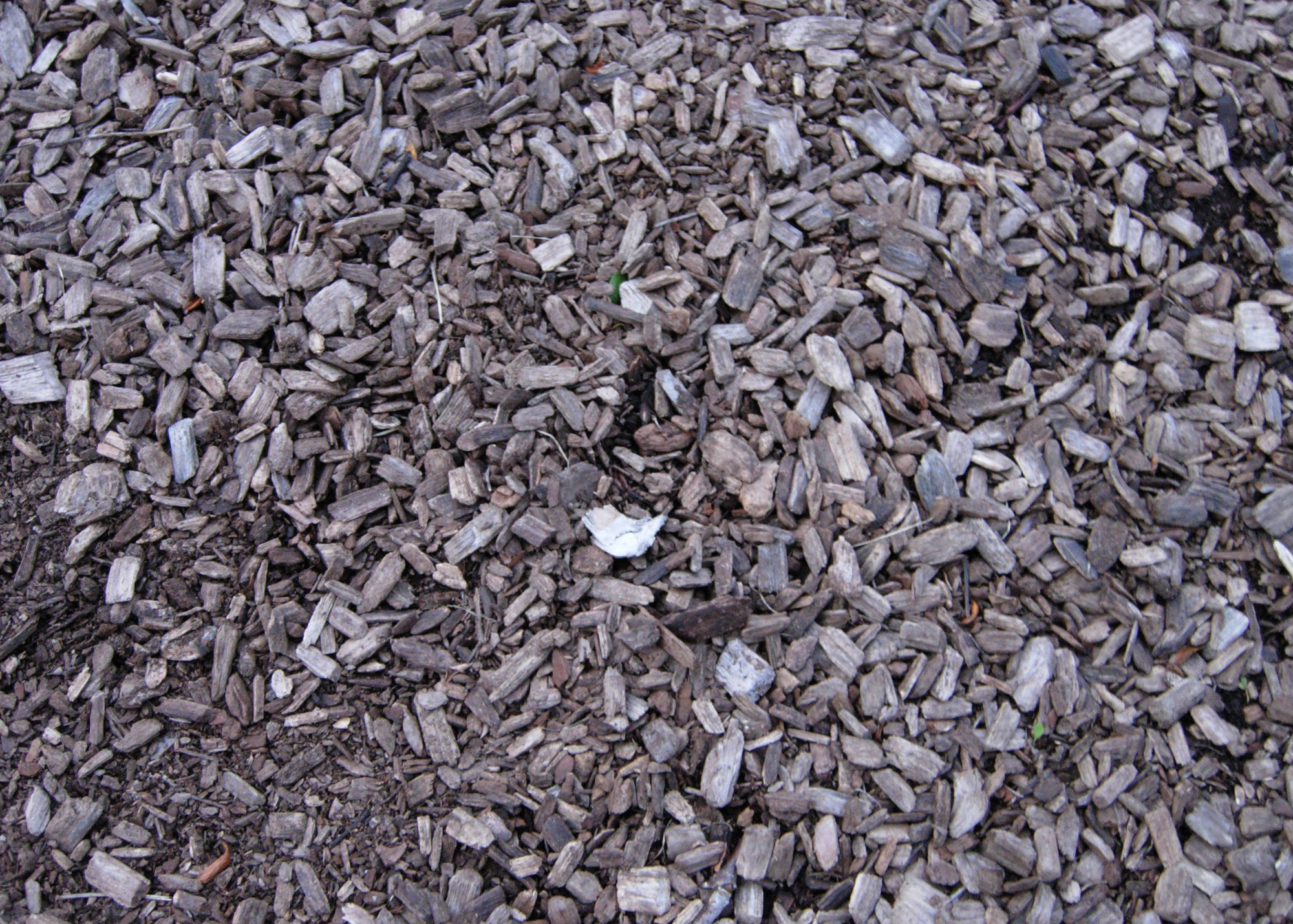 9 - wood chips