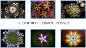 BloominFlowerPowercover1