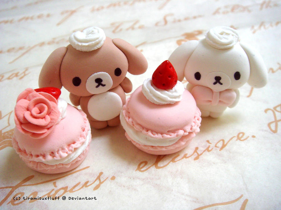 Sugarbunnies with Sweet Macarons