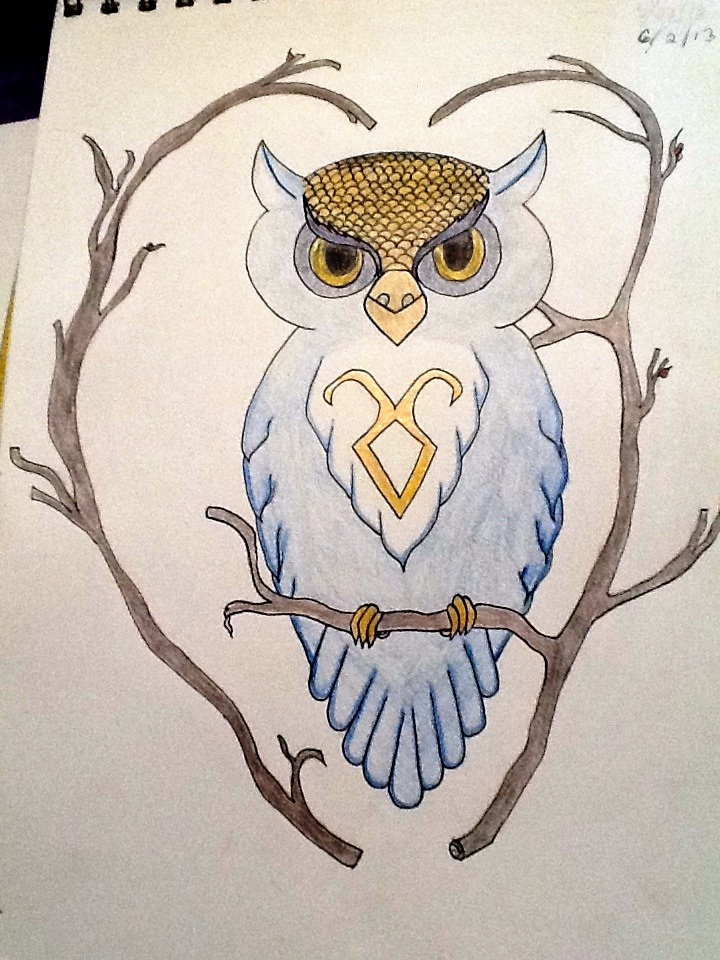 Owl