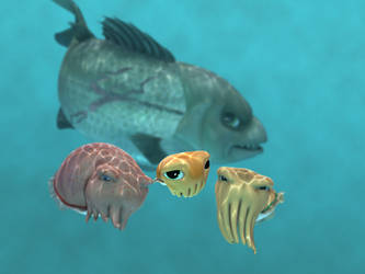 Cuttlefish Characters