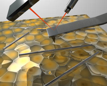 AFM Tip with Nano wires