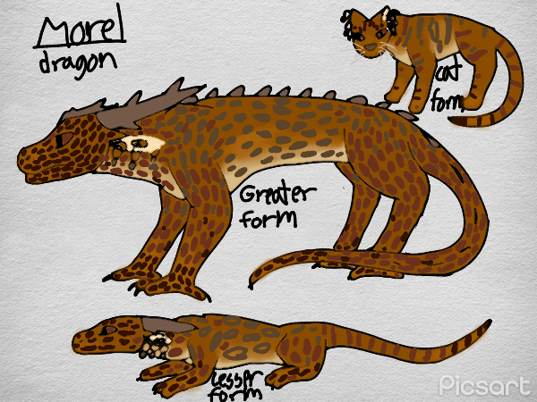 Morel by DragonFlameCactus on DeviantArt