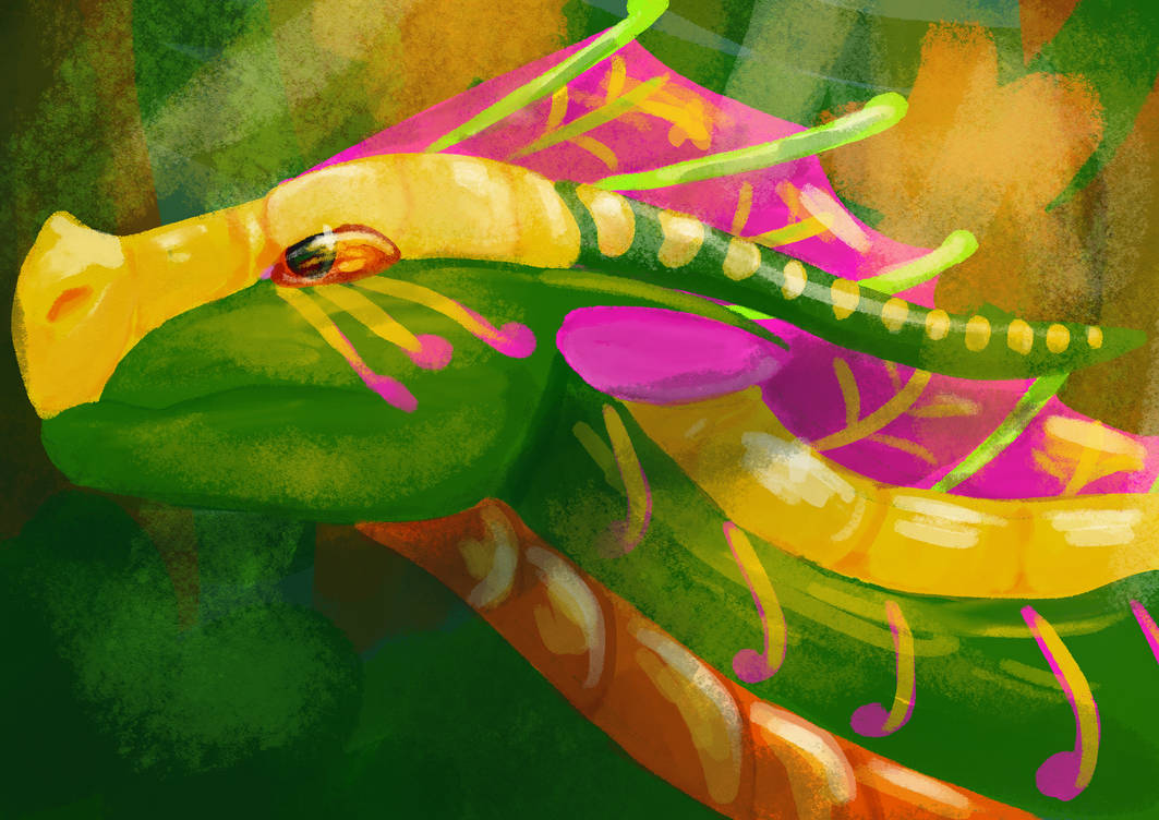 Sundew portrait+ redesign by DragonFlameCactus on DeviantArt