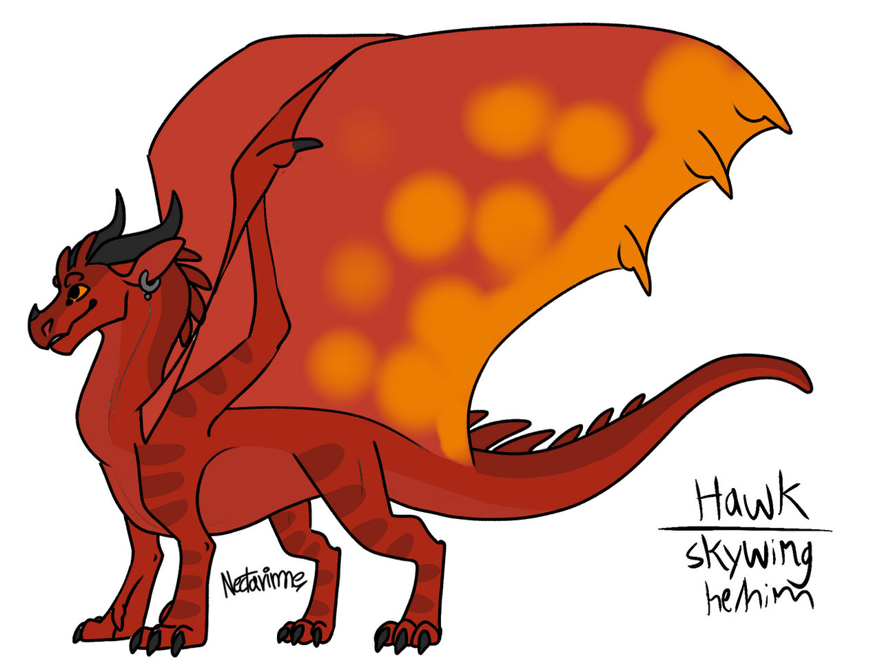 Hawk Ref Base Hawk ref by DragonFlameCactus on DeviantArt