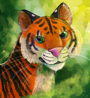 Messy Firepelt portrait