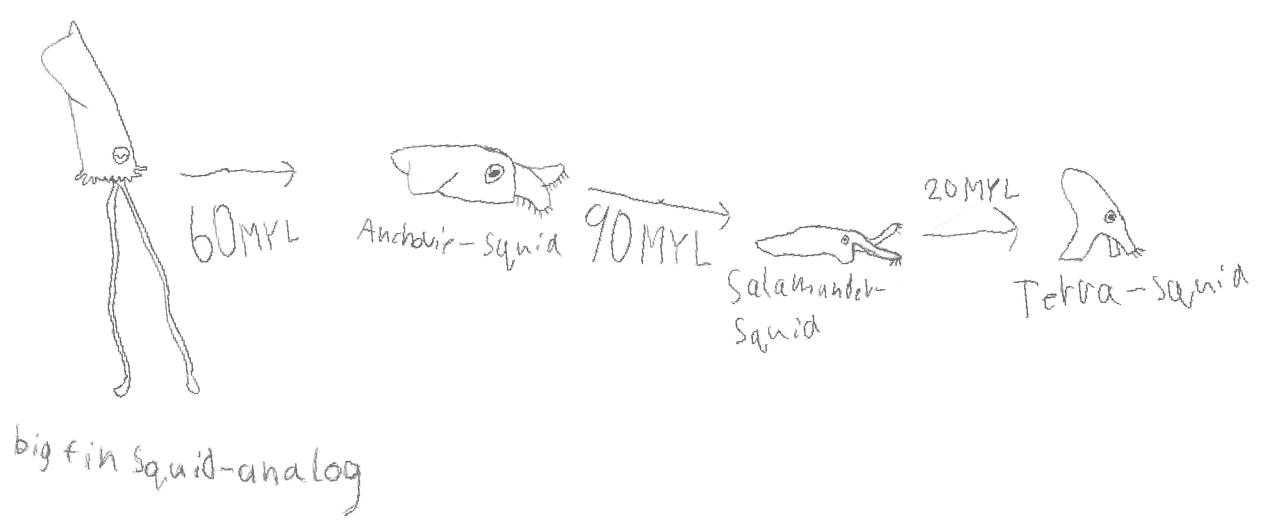 Chart showing the evolution of terrestrial squid by OhhTheHumanity on ...