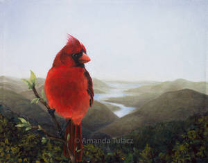 The Cardinal and the Valley