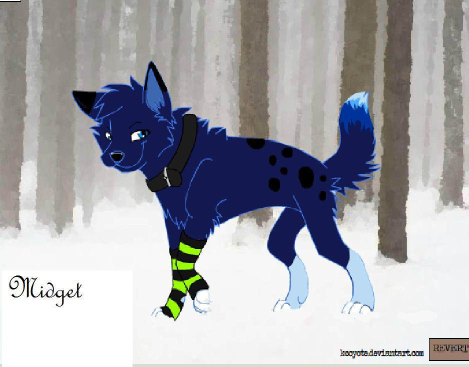 OFFICIAL Midget By Rockshadow45 On DeviantArt official-midget-by-rockshadow45-on-deviantart